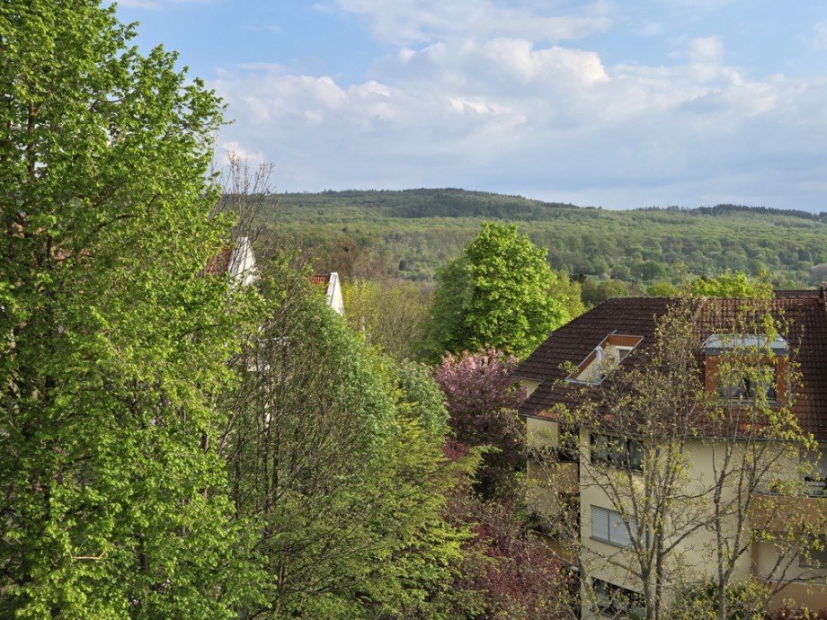 Blick Dachgeschosswohnung Bad Homburg vor der H�he / Kirdorf